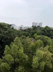 Blk 107 Bukit Purmei Road (Bukit Merah), HDB 3 Rooms #574641811